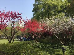 -御花园·粤菜·海鲜火锅(中山公园店)