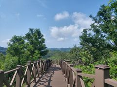 -日光山谷营地乐园