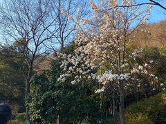 -南京市江宁方山
