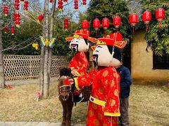 -崇阳三特浪口温泉