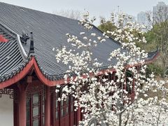 -堤角公园