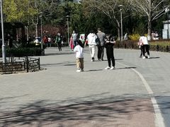 -大兴滨河森林公园