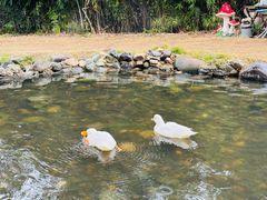 -HERRE·FARM 赫尔露营农场·团建聚会包场