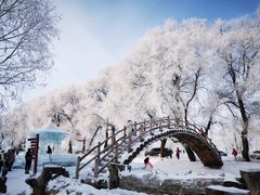 -雾凇岛