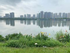 -飞来湖湿地公园
