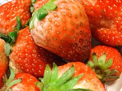 -裕新楼粉面馆·石磨手工粉(四方坪店)