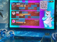 -海合安成都极地海洋公园