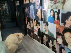 -肆兮眼镜·蔡司·徕卡战略合作店(大坪店)