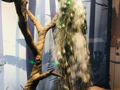 -陕西自然博物馆