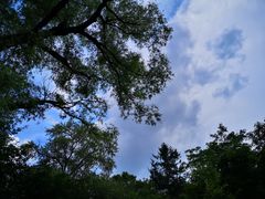 -长春市南湖公园