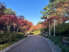 -大宁公园