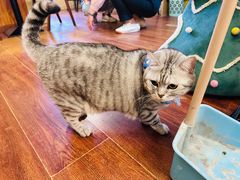 -H立方实景剧情密室(天河旗舰店)