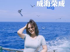 -海驴岛(荣成市)