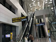 -郑州新郑国际机场-T2航站楼