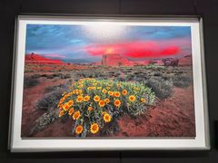 -罗红摄影艺术馆