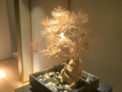 -浅深(北京北四环精品店)