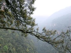 -赤水丹霞旅游区·佛光岩