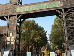 -溱湖国家湿地公园