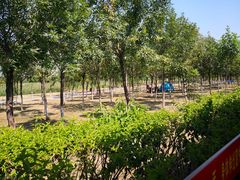 -天津武清北运河郊野公园房车露营地