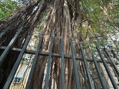 -南山图书馆(常兴路店)