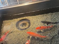 -0776食堂·京城创意菜(七里庄店)