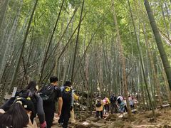 -莫干山风景区