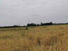 -汉长安城未央宫国家考古遗址公园