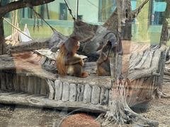 -大连森林动物园