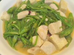 -滇铺子·云南特色菜·第九届野生菌美食节(东风东路c86店)