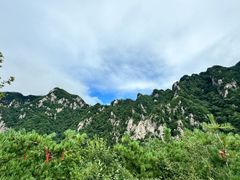 -王顺山国家森林公园