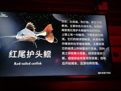 -太平洋海底世界