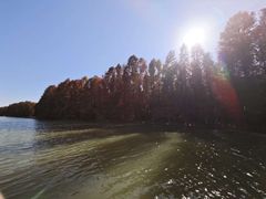 -上海海湾国家森林公园