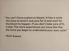 -旧金山现代艺术博物馆