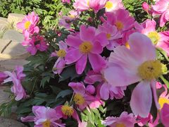 -长春公园(普阳街道)