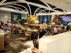 -金海华·四季时堂·第一食堂(现代传媒广场店)