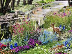 -上海共青森林公园