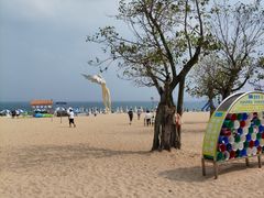 -大梅沙海滨公园