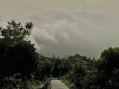 -梧桐山风景名胜区