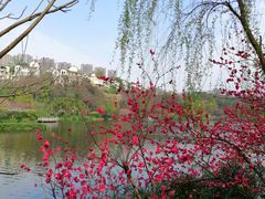 -重庆彩云湖湿地公园