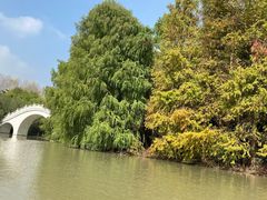 -上海海湾国家森林公园