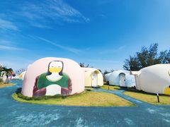 -漳州滨海火山岛自然生态风景区