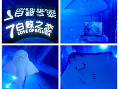 -正佳极地海洋世界