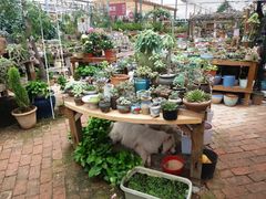 -三圣花乡旅游区