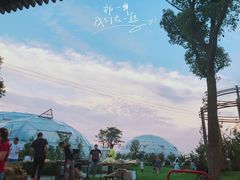 -九善农植有机生活农场