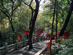 -灵岩山风景区