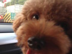 -ZEMOCAFE·FUSION FOOD(西交利物浦店)