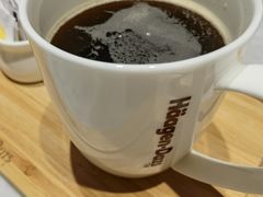 -哈根达斯(深圳海岸城店)
