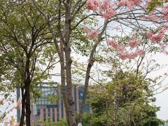 -白石龙音乐公园