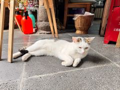 -龙姐私房菜(和顺古镇店)