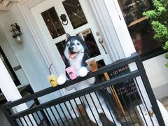 -TrueLove @ Neverland (Husky Cafe)